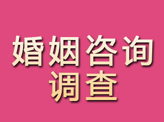 眉山婚姻咨询调查